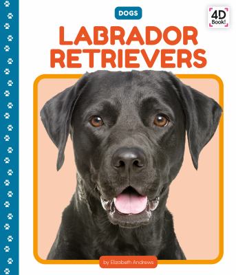 Labrador retrievers