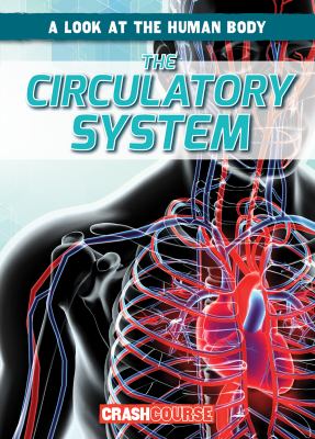 The circulatory system