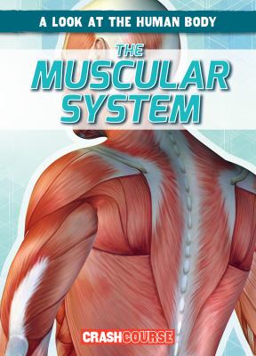 The muscular system