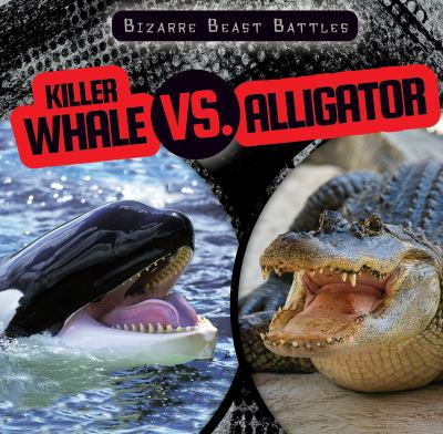 Killer whale vs. alligator