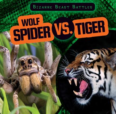 Wolf spider vs. tiger