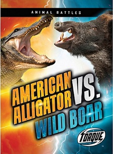 American alligator vs. wild boar