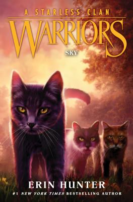 Sky : Warriors: a starless clan #2