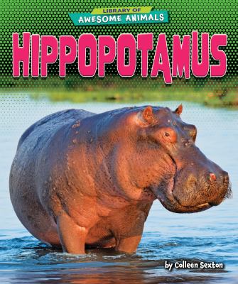 Hippopotamus