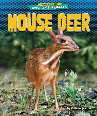 Mouse deer