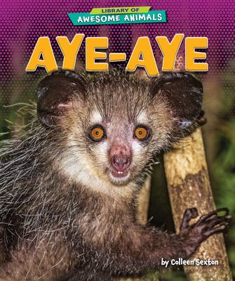 Aye-aye