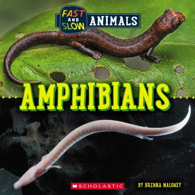 Amphibians