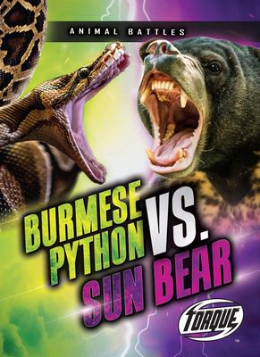 Burmese python vs. sun bear