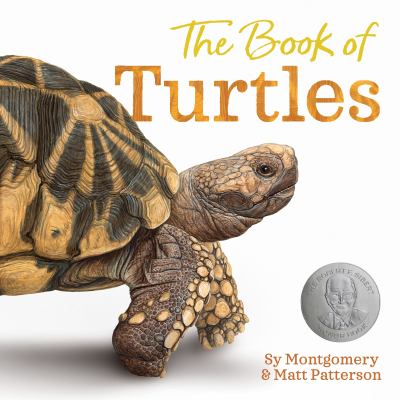 The book of turtles