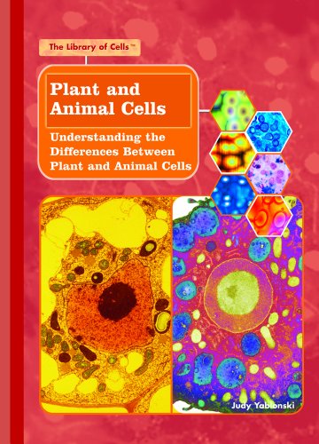 Plant and animal cells : understanding the differences between plant and animal cells