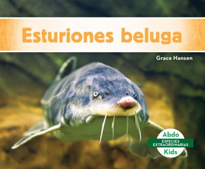 Esturiones beluga