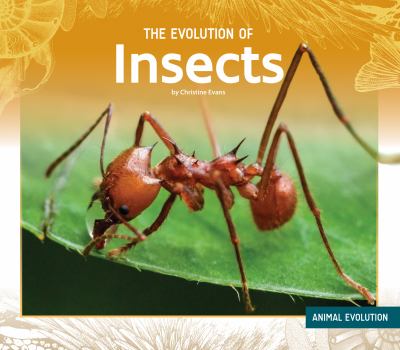 The evolution of insects