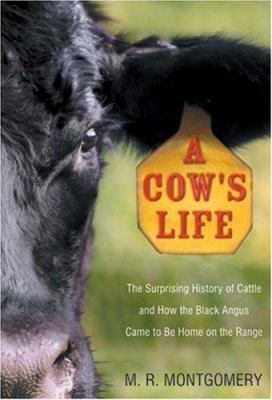 A cow's life : the surprising history of cattle and how the Black Angus came to be home on the range