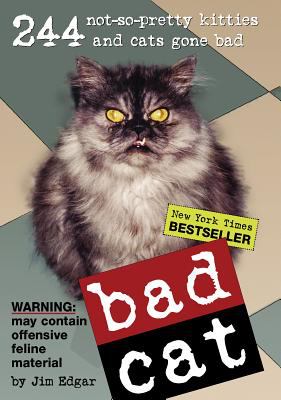 Bad cat