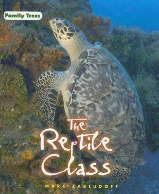 The reptile class