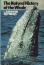 The natural history of the whale