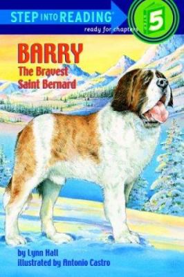 Barry, the bravest Saint Bernard