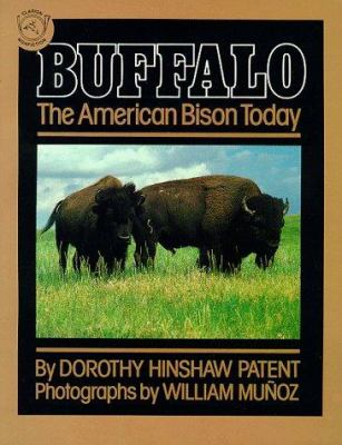 Buffalo : the American bison today