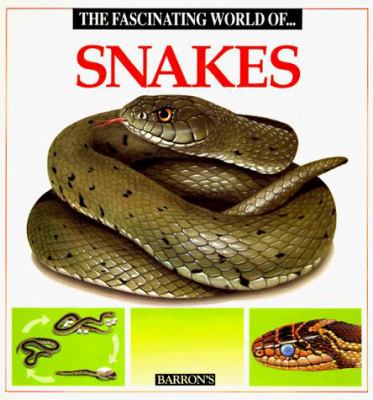 The fascinating world of snakes