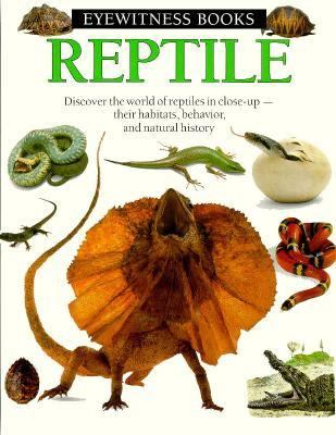 Reptile