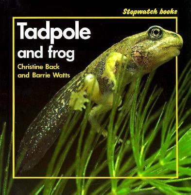 Tadpole and frog