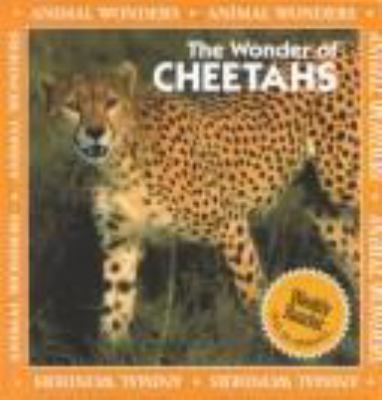 The wonder of cheetahs