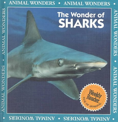 The wonder of sharks