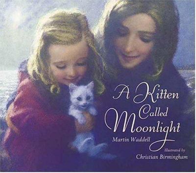 A kitten called Moonlight