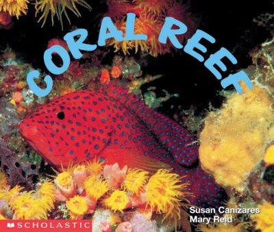 Coral reef