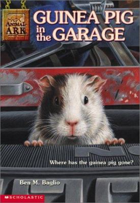 Guinea pig  in the garage