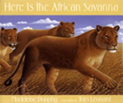 Here is the African savanna