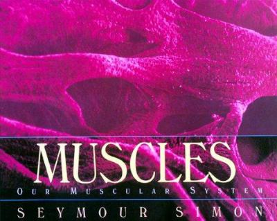 Muscles : our muscular system