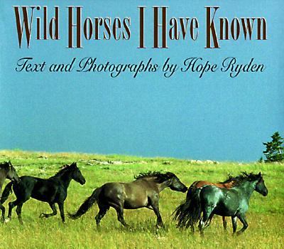 Wild horses I have known