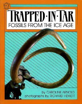 Trapped in tar : fossils from the Ice Age