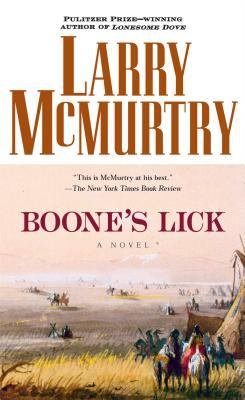 Boone's Lick : a novel