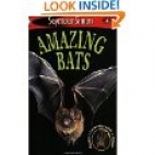 Amazing bats