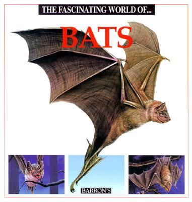 The fascinating world of-- bats