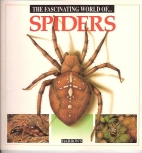 The fascinating world of spiders