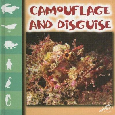 Camouflage and disguise