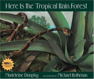 Here is the tropical rain forest