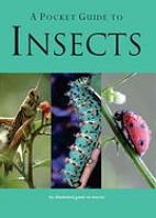 A pocket guide to insects