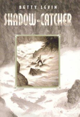 Shadow-catcher