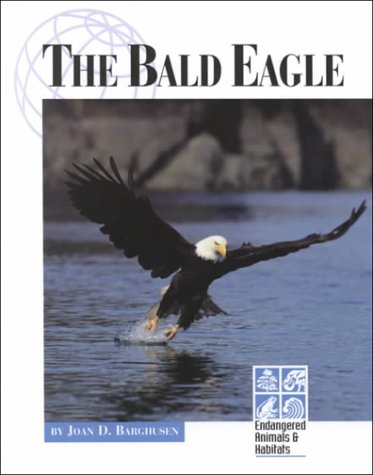 The bald eagle