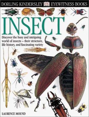 Insect