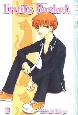 Fruits basket : Vol. 3