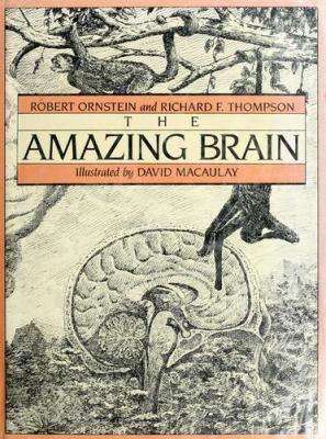 The amazing brain