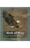Birds of prey : a look at daytime raptors
