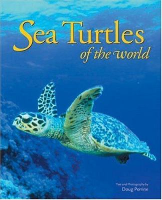 Sea turtles