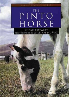 The pinto horse