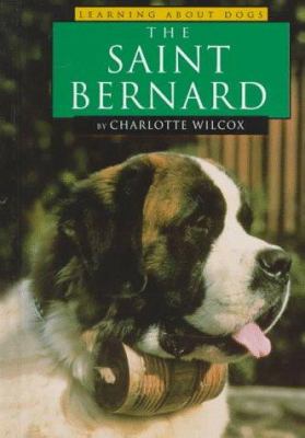 The Saint Bernard